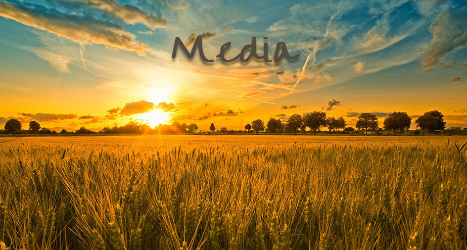 Sunrise over a wheat field with the word 'Media' at the top.