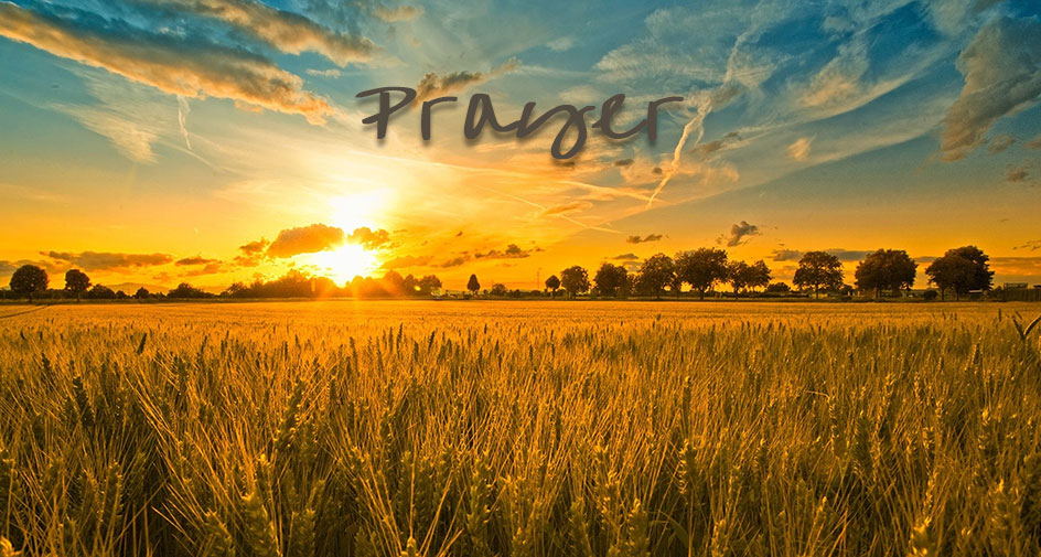Sunrise over a wheat field with the word 'Prayer' at the top.